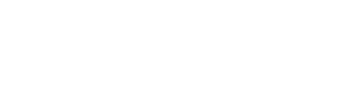 WordCamp Cape Town Logo White